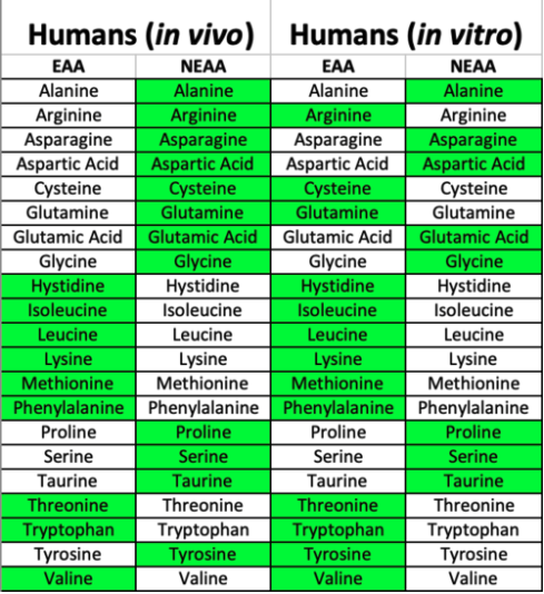 Deep dive: cultivated meat cell culture media 2 Table indicating essential and non-essential amino acids in vivo and in vitro