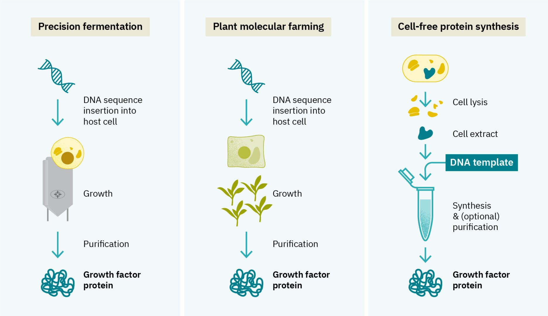 Cultivated meat growth factor volume and cost analysis 11 Exemplar platform technologies for protein production illustration