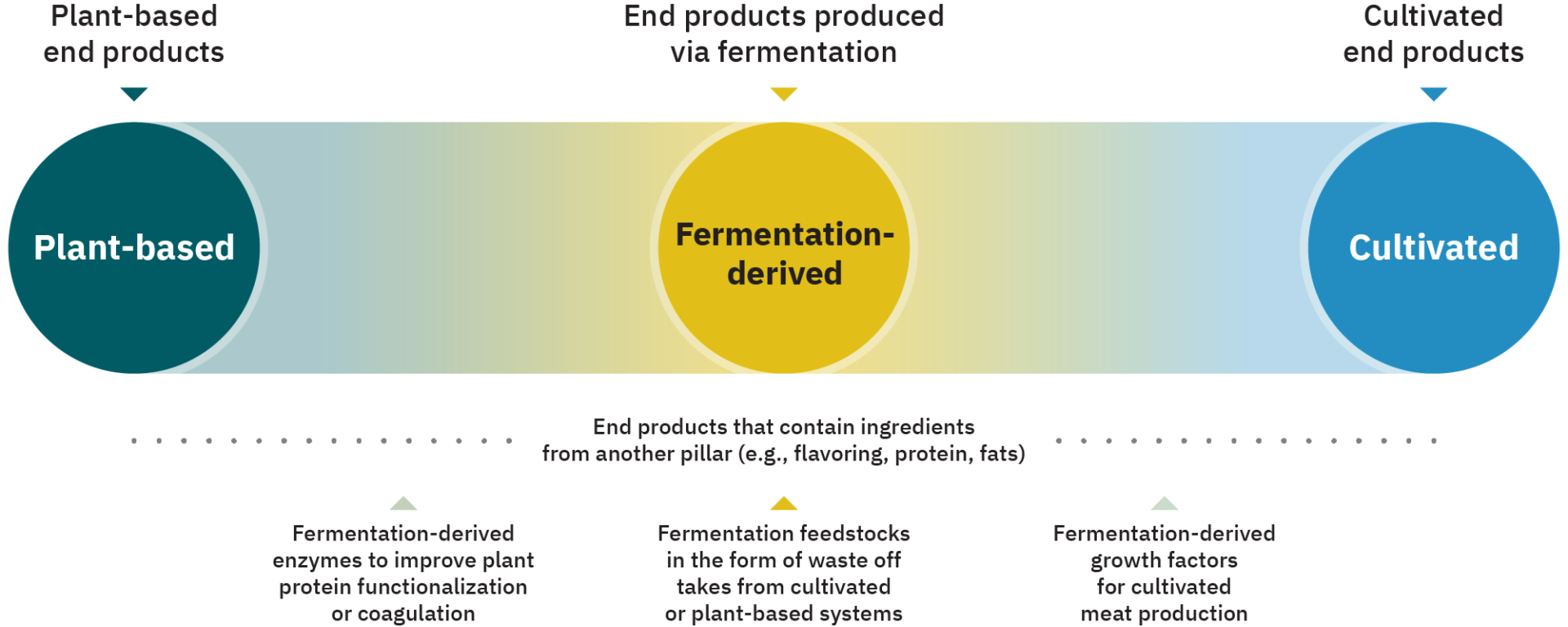 2023 outlook: the state of the plant-based meat category 12 Cor23014 036 aspectrumoffermentationenabledendproducts final 230228