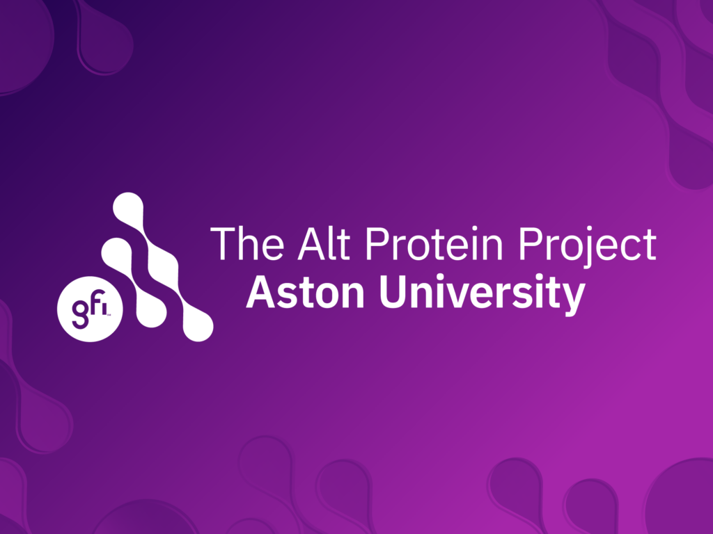 Meet the alt protein project’s latest cohort 5 The aston alt protein project on a gradient background