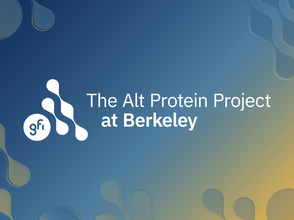 Meet the alt protein project’s latest cohort 12 On a gradient background